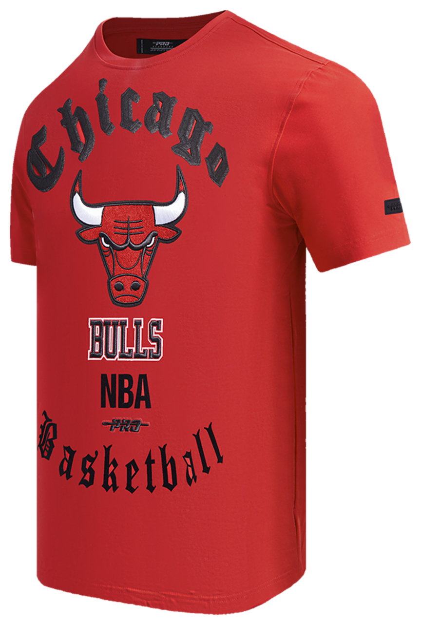 Pro Standard BULLS OLD ENGLISH SJ TEE Image 3 of 6. Tap to open photo gallery.