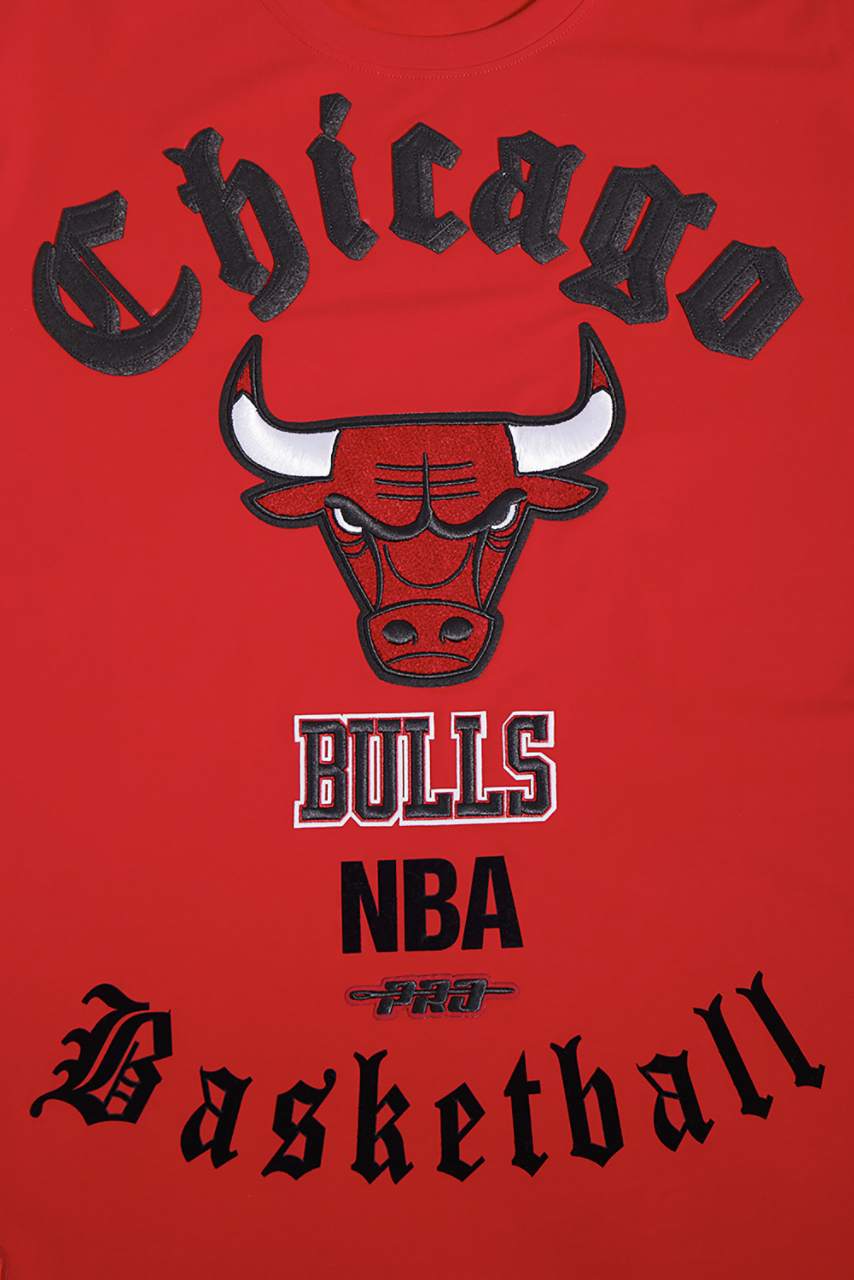 Pro Standard BULLS OLD ENGLISH SJ TEE Image 5 of 6. Tap to open photo gallery.
