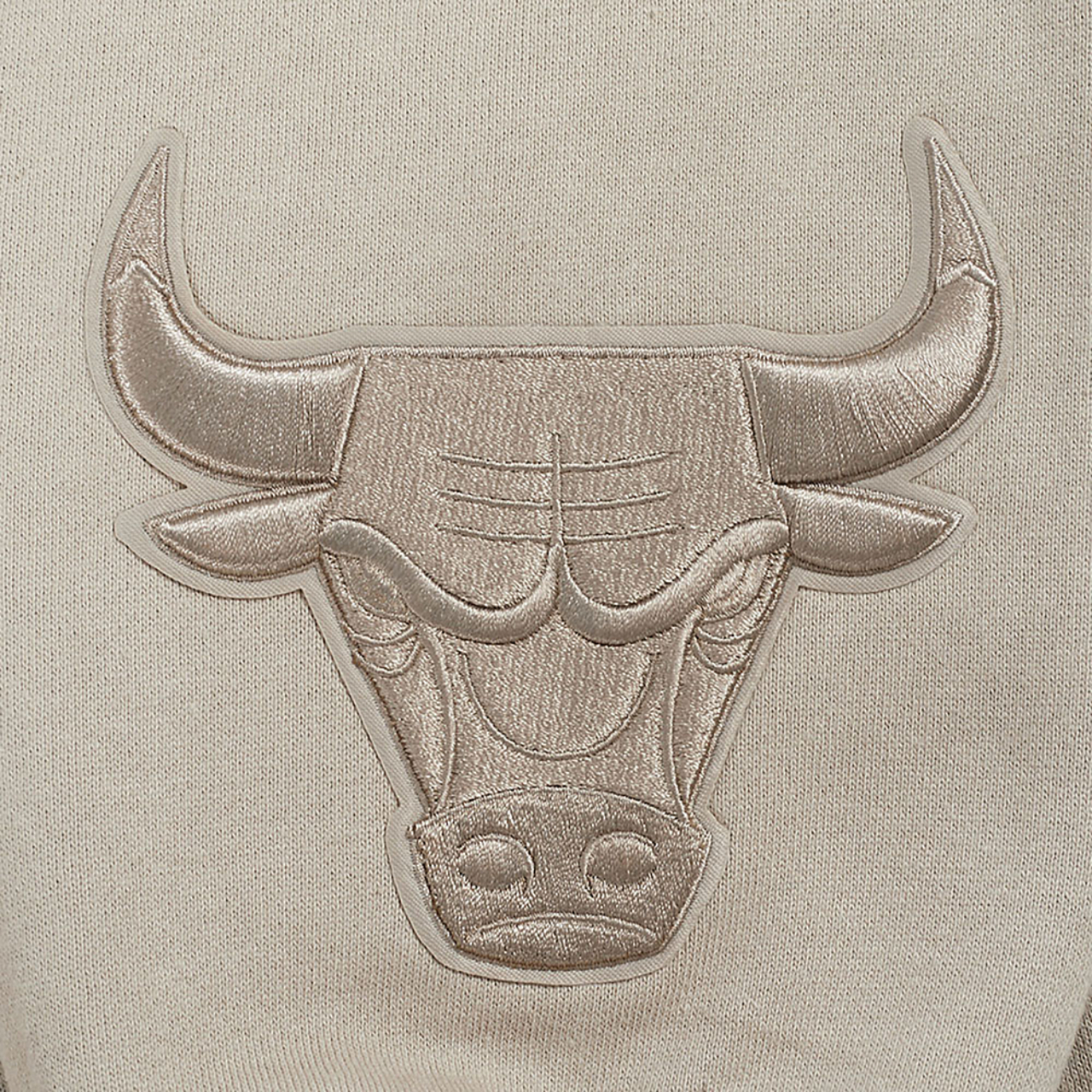 Pro Standard Wingspan Chicago Bulls Drop Shoulder Hoody Image 7 of 7. Tap to open photo gallery.