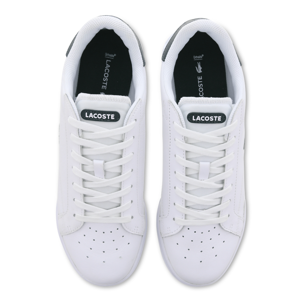 Lacoste Twin Serve Image 5 of 6. Tap to open photo gallery.