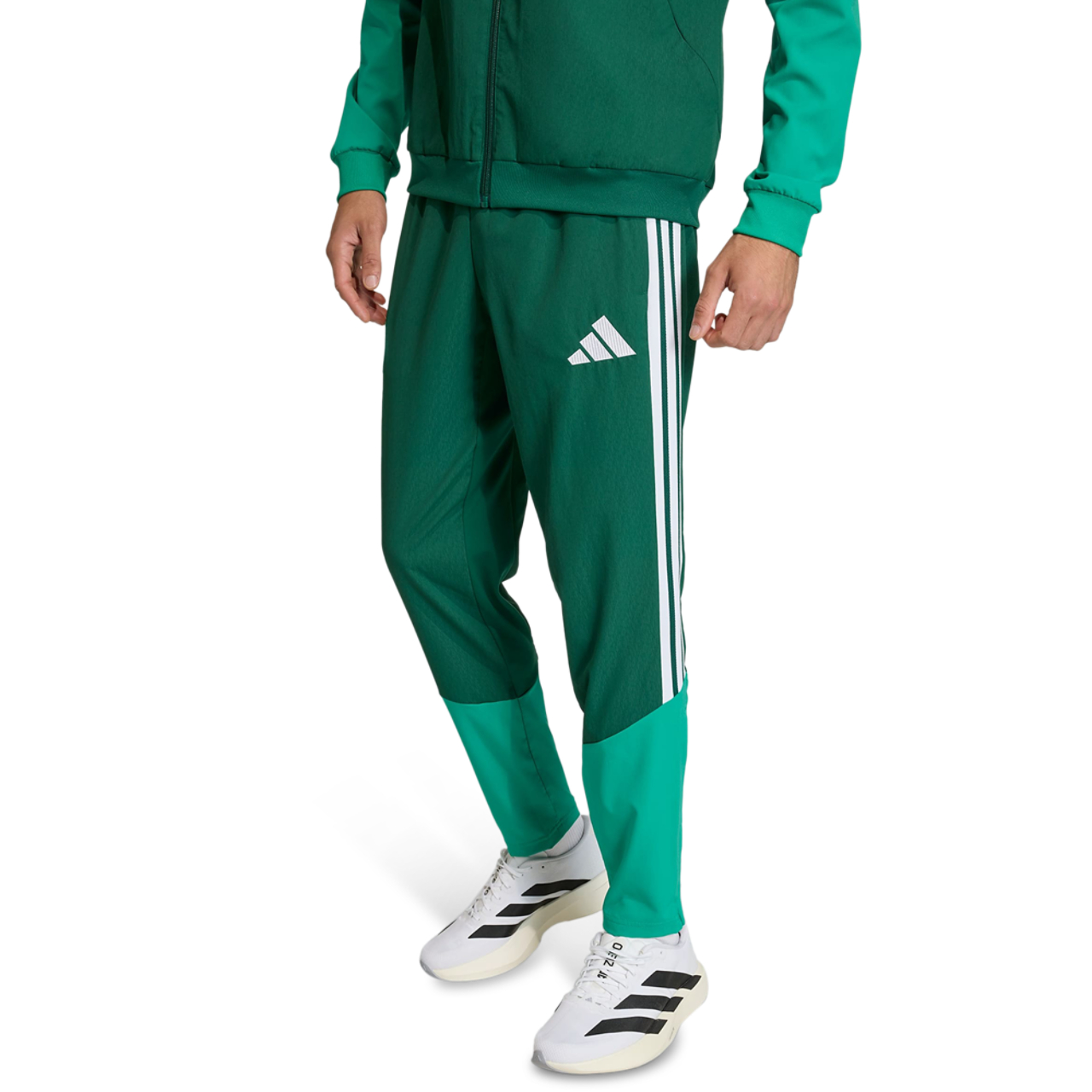 adidas Algeria Pre Image 1 sur 2. Appuyez pour ouvrir la galerie de photos.