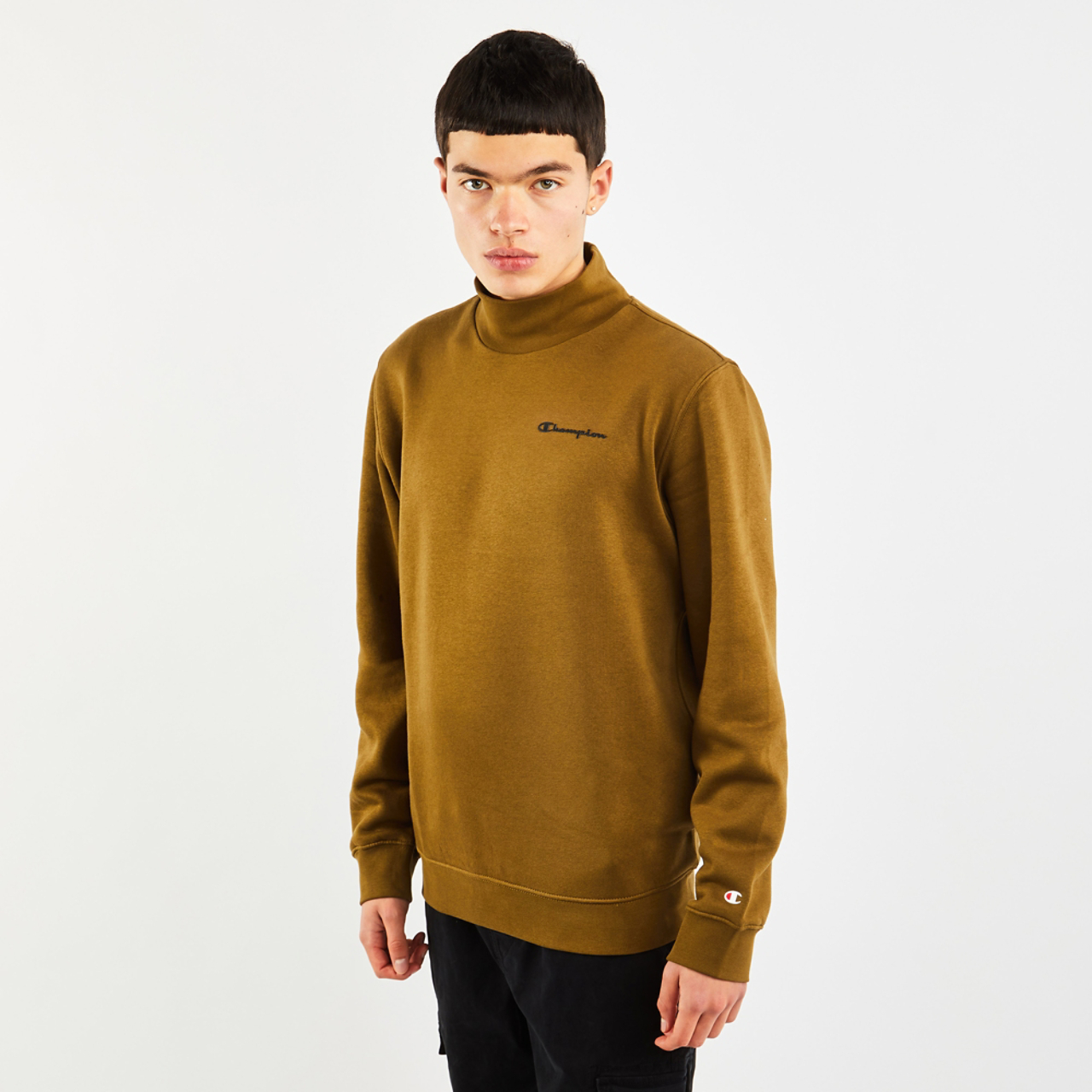 Champion Turtle Image 1 of 4. Tap to open photo gallery.