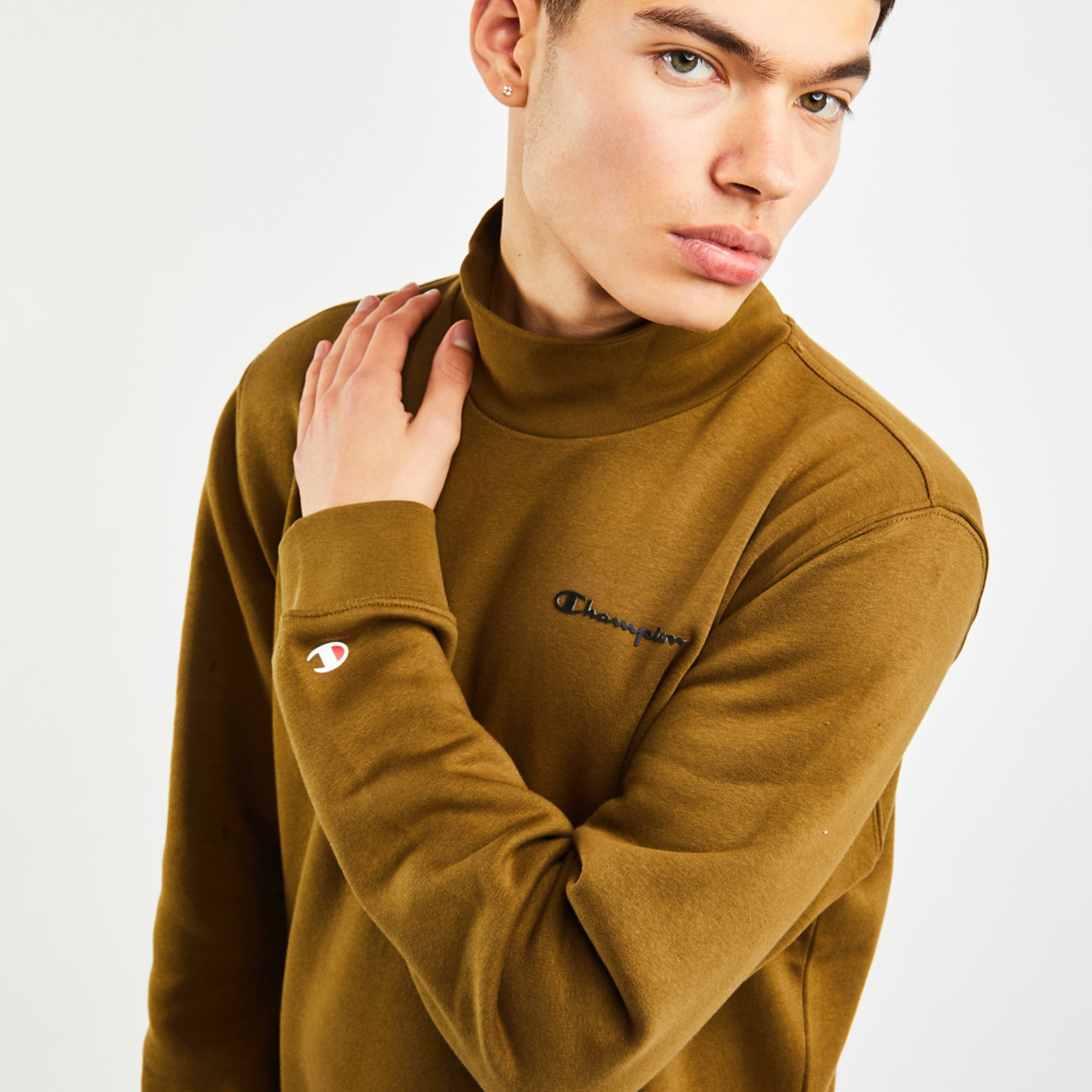 Champion Turtle Image 4 of 4. Tap to open photo gallery.