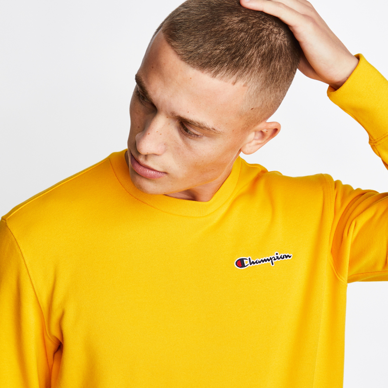 Champion Rochester Logo Image 4 of 4. Tap to open photo gallery.