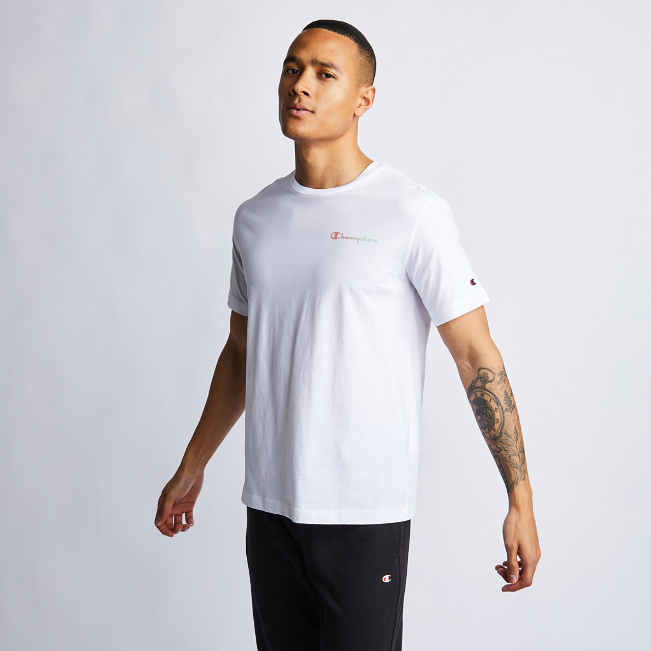 Champion American Pastels Legacy Image 2 of 4. Tap to open photo gallery.