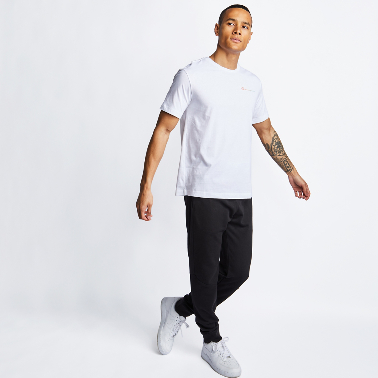 Champion American Pastels Legacy Image 3 of 4. Tap to open photo gallery.