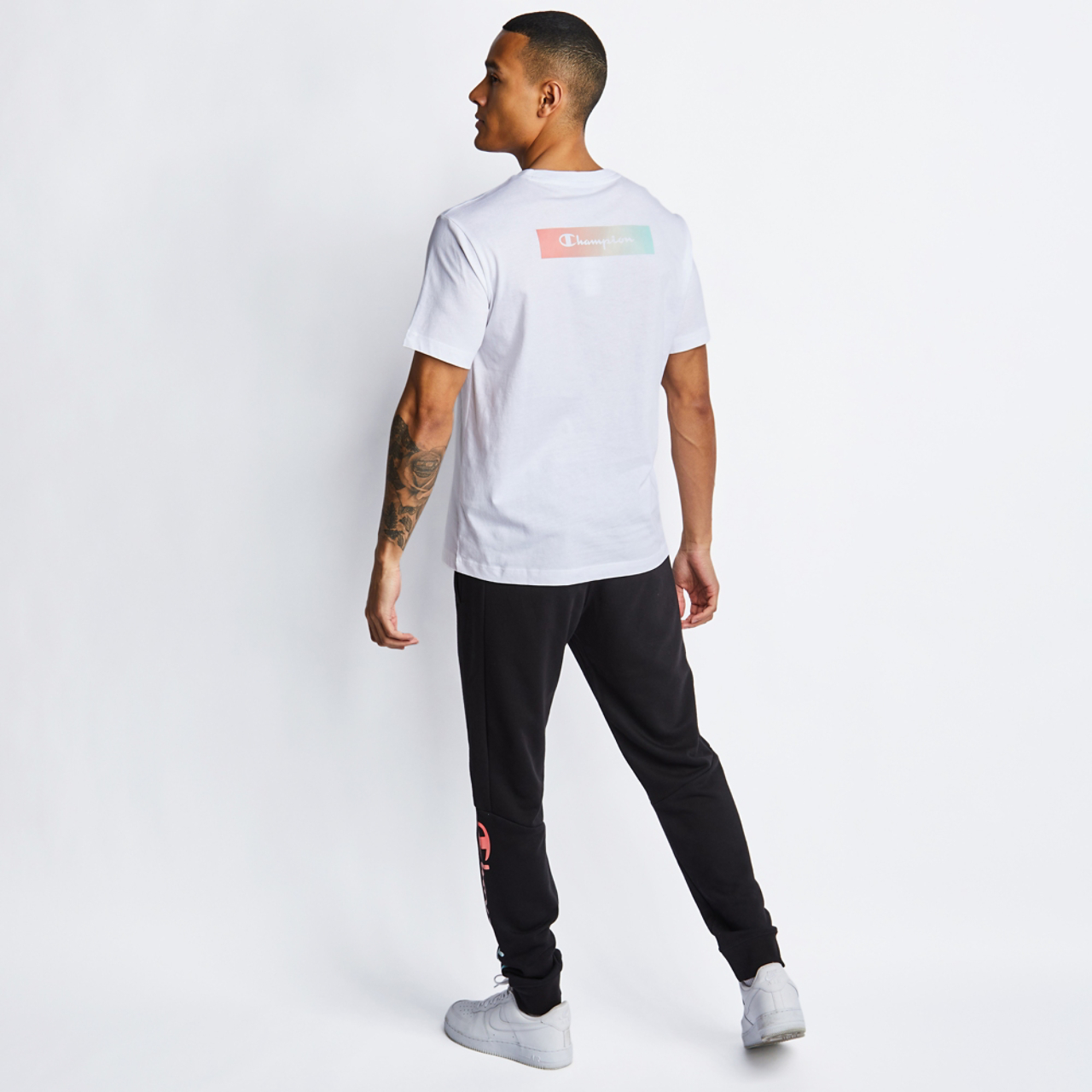 Champion American Pastels Legacy Image 4 of 4. Tap to open photo gallery.