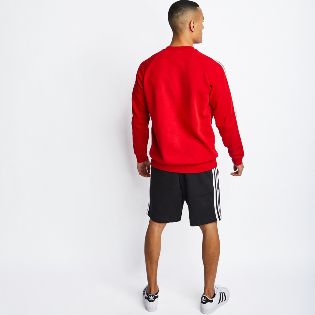 adidas Adicolor Crew Neck Image 3 of 4. Tap to open photo gallery.