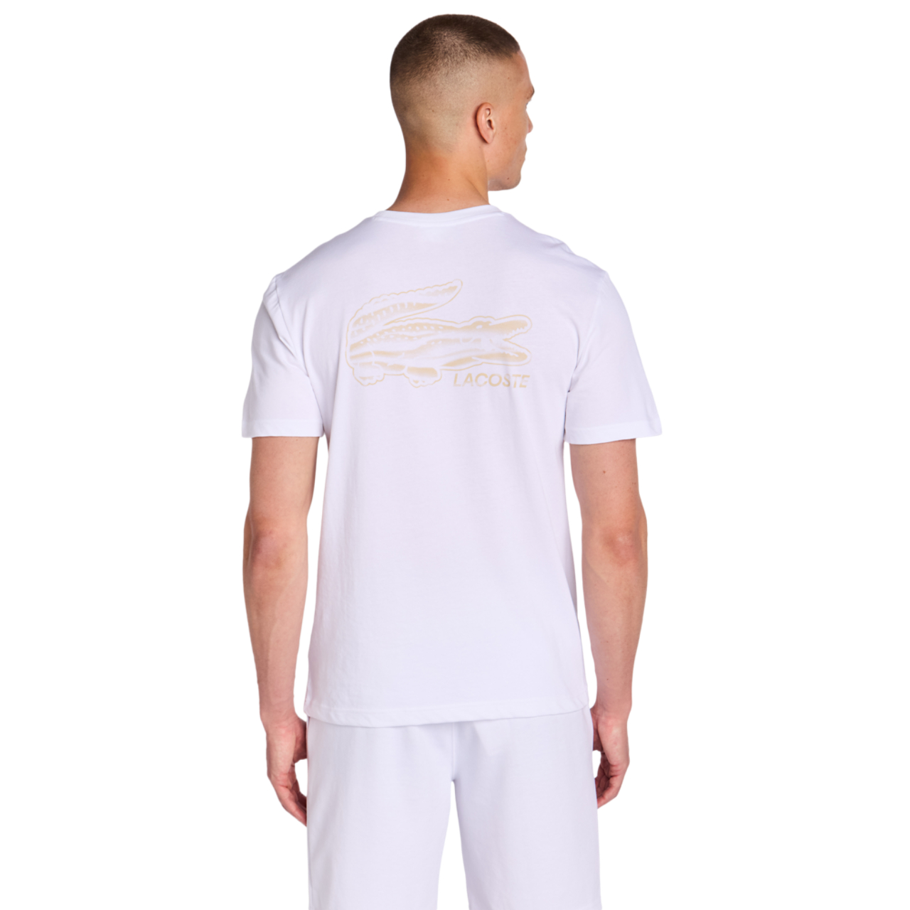 Lacoste Urban Afbeelding 4 van 7. Tik om de fotogalerij te openen..