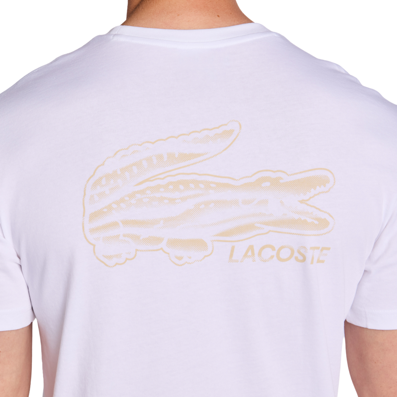 Lacoste Urban Afbeelding 7 van 7. Tik om de fotogalerij te openen..