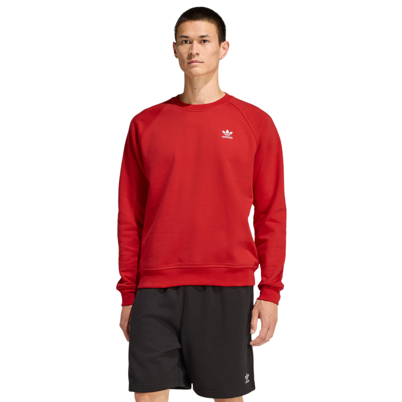 adidas Trefoil Essentials Crew Sweatshirt Immagine 1 di 4. Tocca per aprire la galleria fotografica.