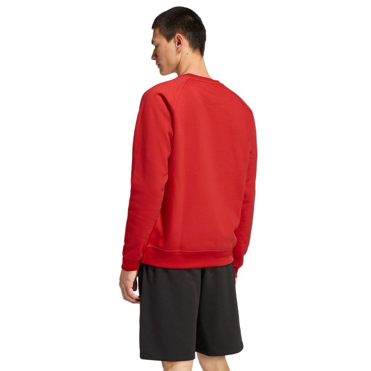 adidas Trefoil Essentials Crew Sweatshirt Immagine 4 di 4. Tocca per aprire la galleria fotografica.