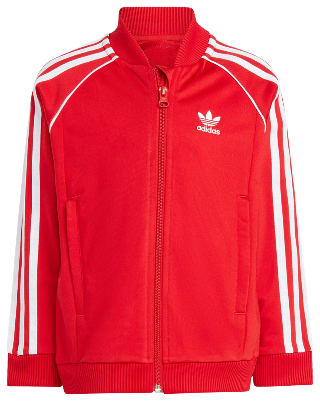 adidas Adicolor Superstar Image 2 sur 3. Appuyez pour ouvrir la galerie de photos.
