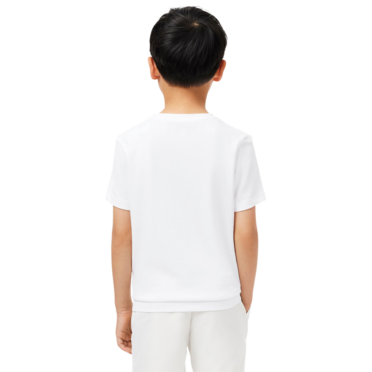Lacoste Classic Logo Sport T-Shirt Image 2 of 7. Tap to open photo gallery.