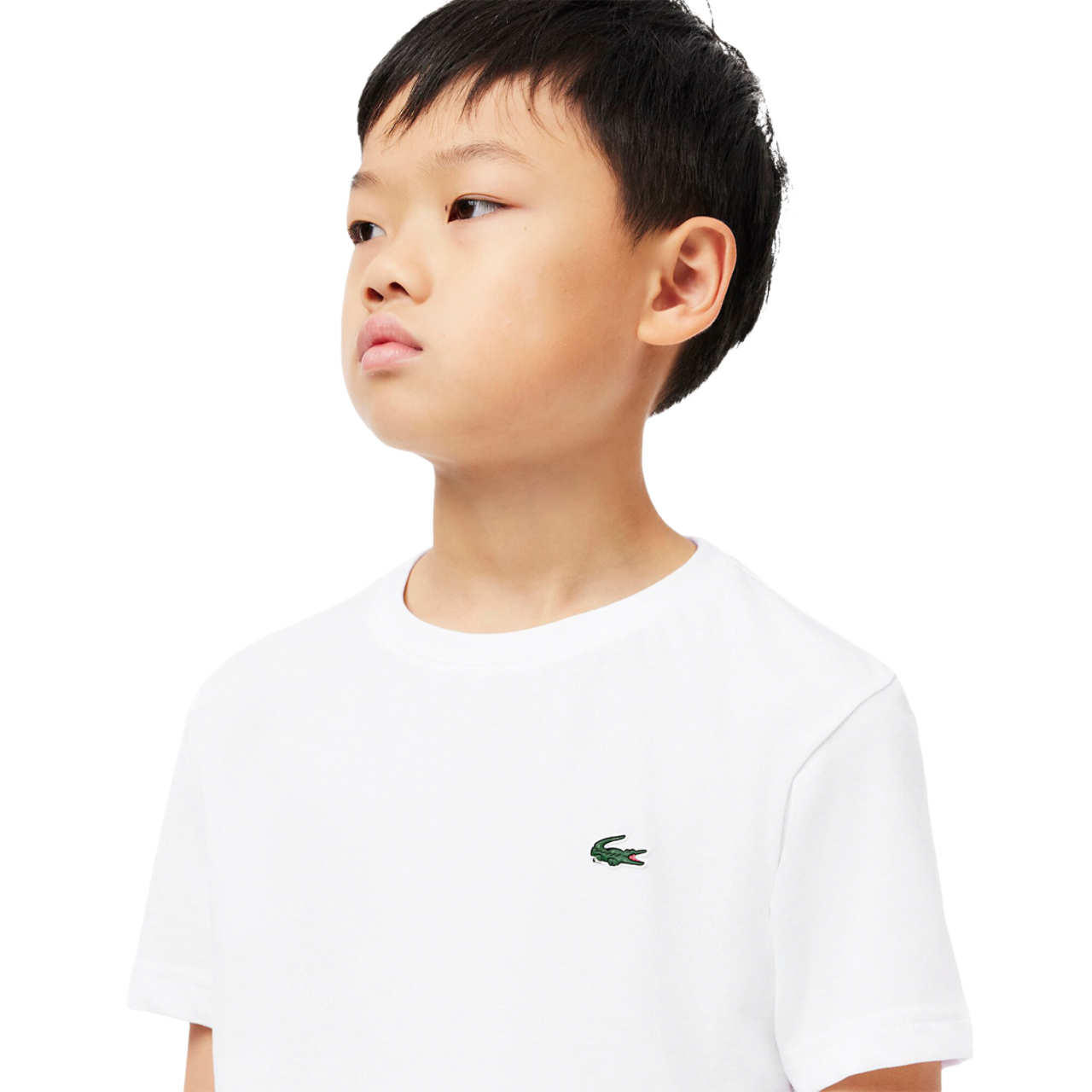 Lacoste Classic Logo Sport T-Shirt Image 3 of 7. Tap to open photo gallery.
