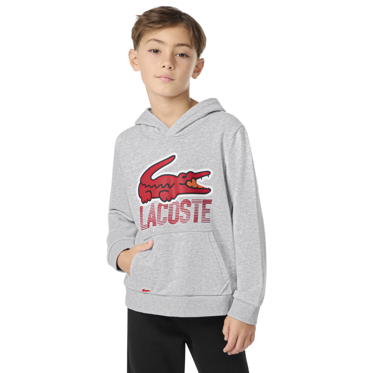 Lacoste Motion Croc Pullover Hoodie Image 1 of 7. Tap to open photo gallery.