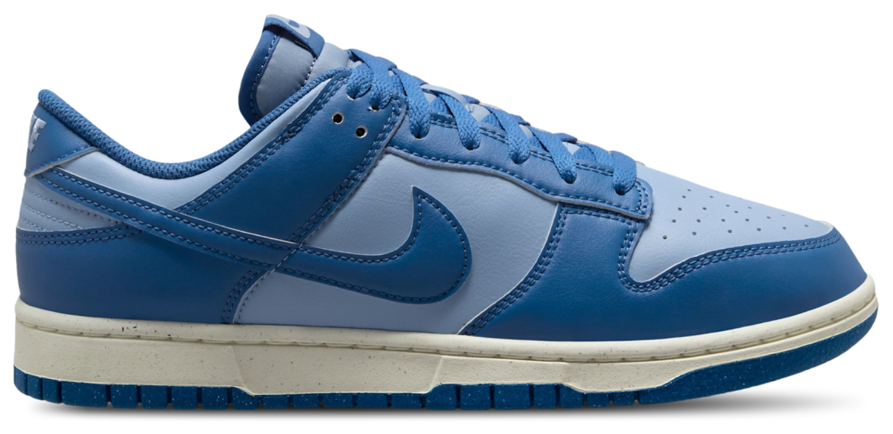 新品 25cm NIKE DUNK LOW RETRO BETTYS Amazon.com | Nike Dunk Low Retro Premium Men's Shoes Size