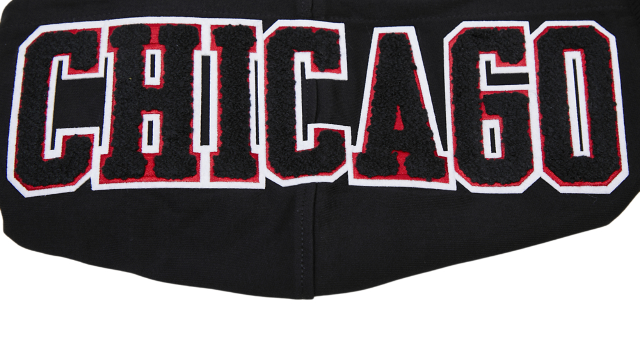 Pro Standard Bulls Logo Hoodie Image 9 of 9. Tap to open photo gallery.