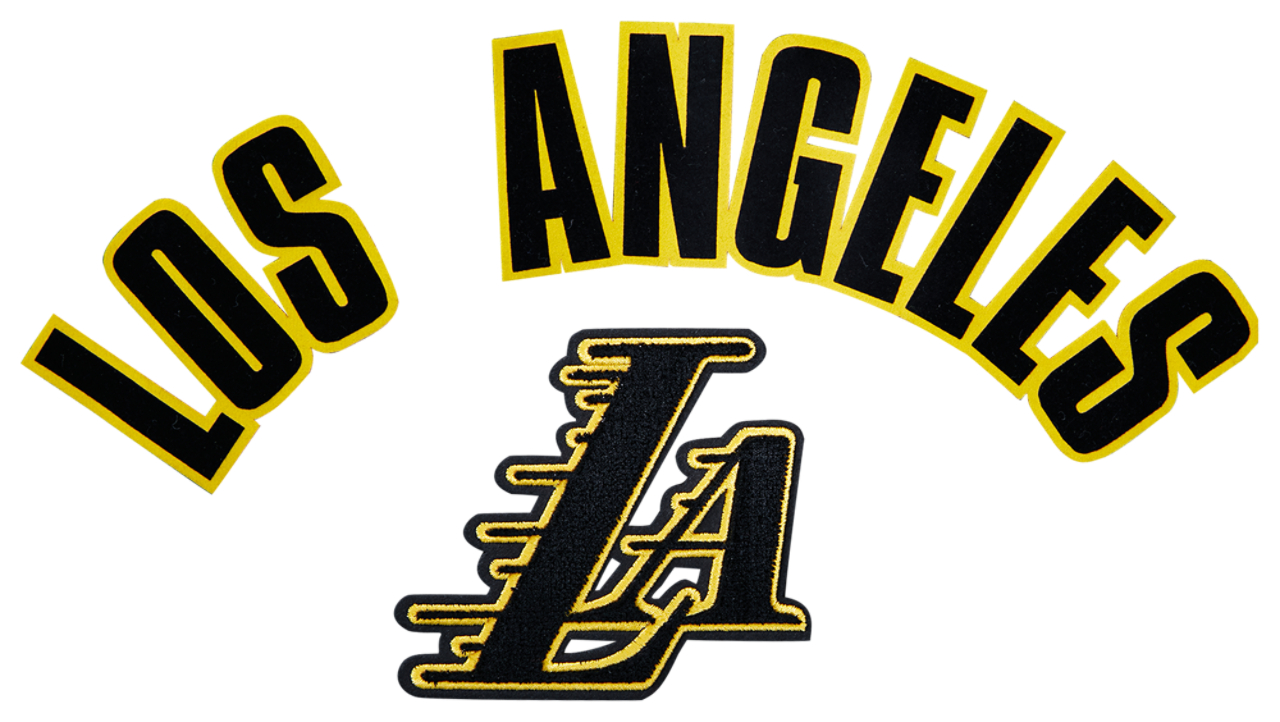 Pro Standard Lakers Logo Hoodie Image 5 of 5. Tap to open photo gallery.