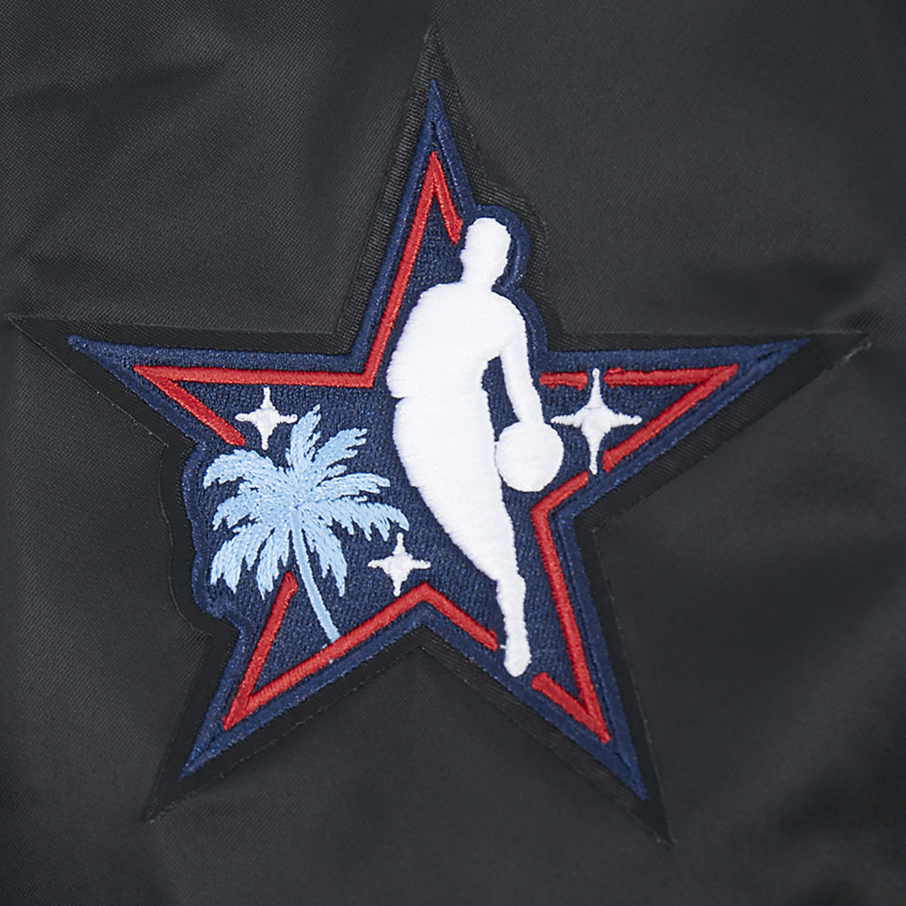 Pro Standard NBA x HBCU 2026 Rib Satin Jacket Image 8 of 8. Tap to open photo gallery.