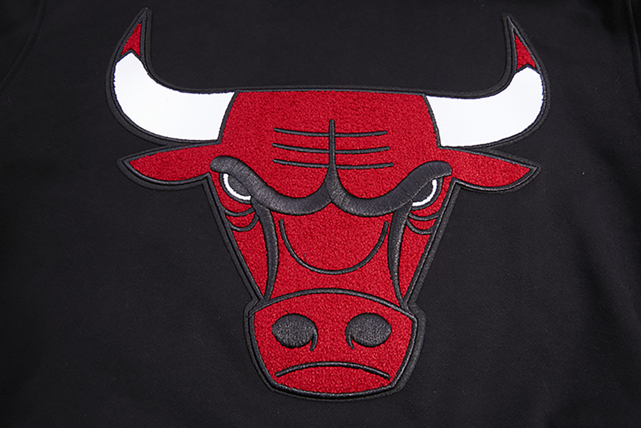 Pro Standard BULLS RETRO CLASSIC FLC PO HOODIE Image 5 of 8. Tap to open photo gallery.