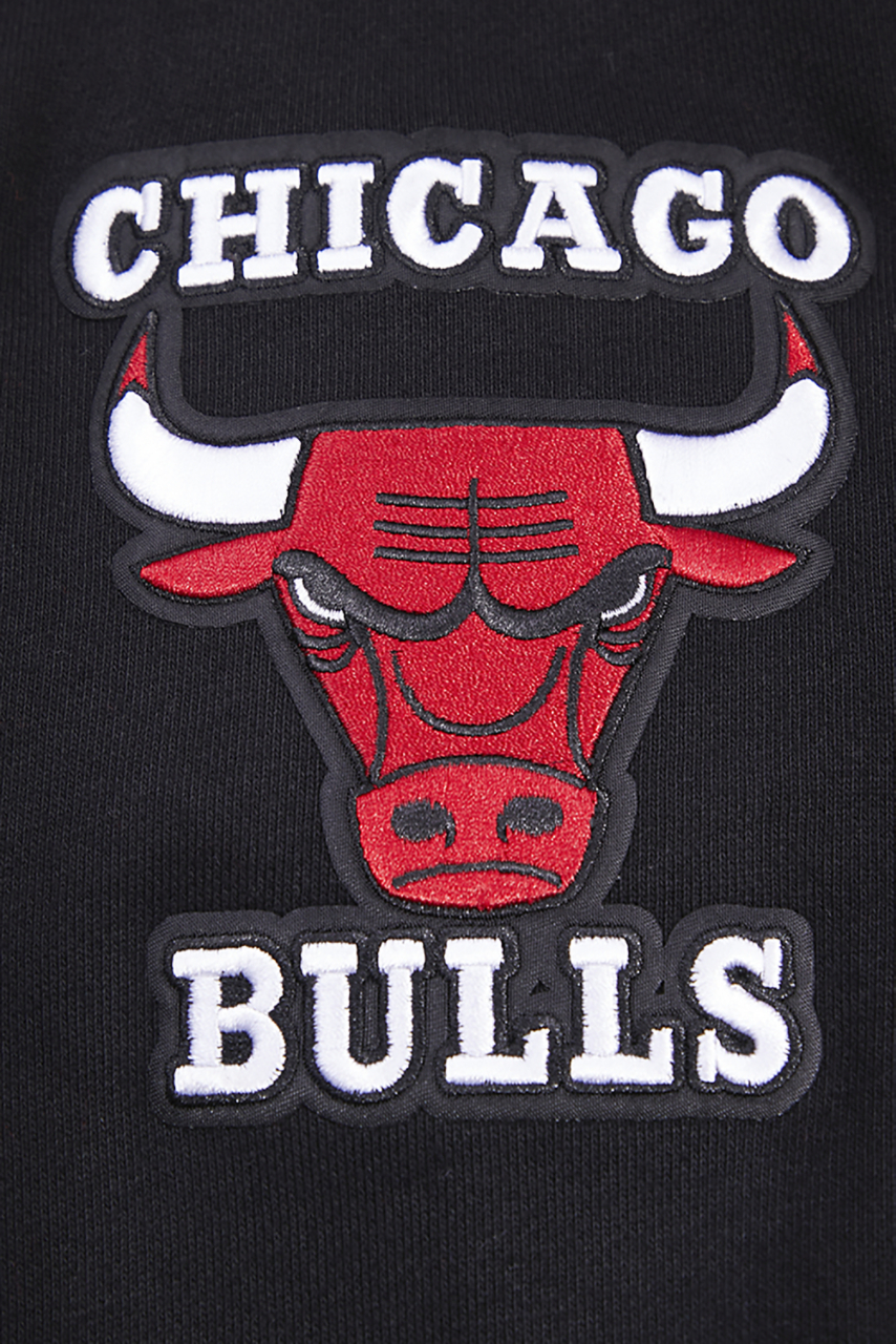 Pro Standard BULLS RETRO CLASSIC FLC PO HOODIE Image 6 of 8. Tap to open photo gallery.