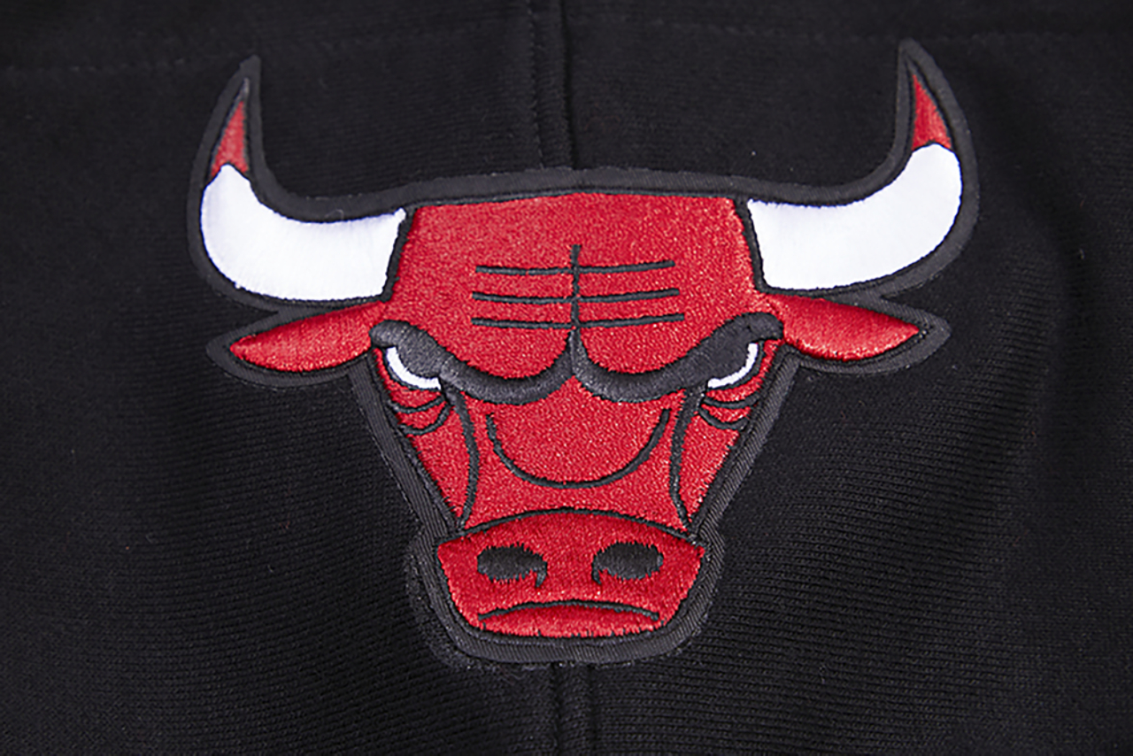 Pro Standard BULLS RETRO CLASSIC FLC PO HOODIE Image 8 of 8. Tap to open photo gallery.