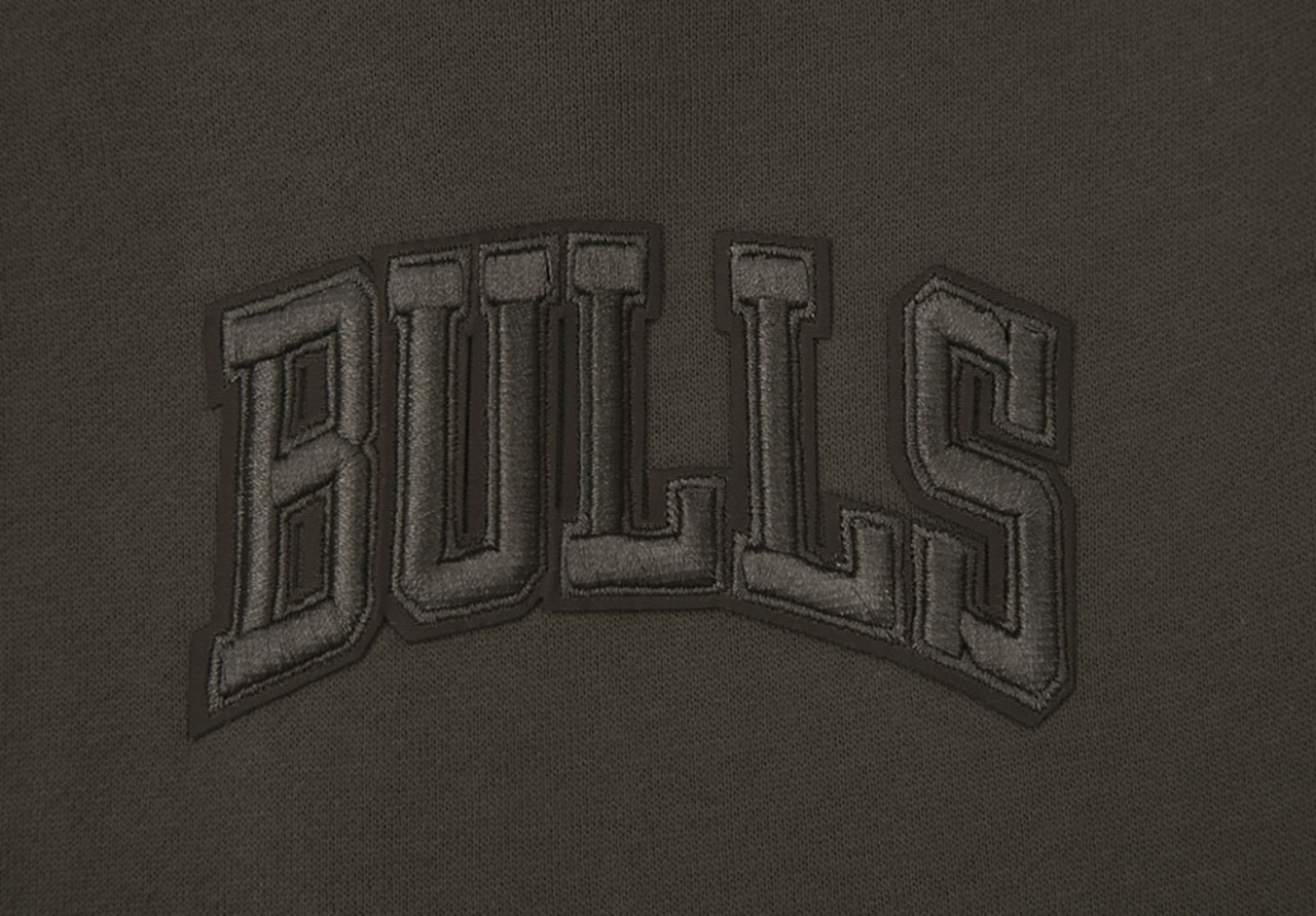 Pro Standard Bulls Logo Hoodie Image 6 of 14. Tap to open photo gallery.