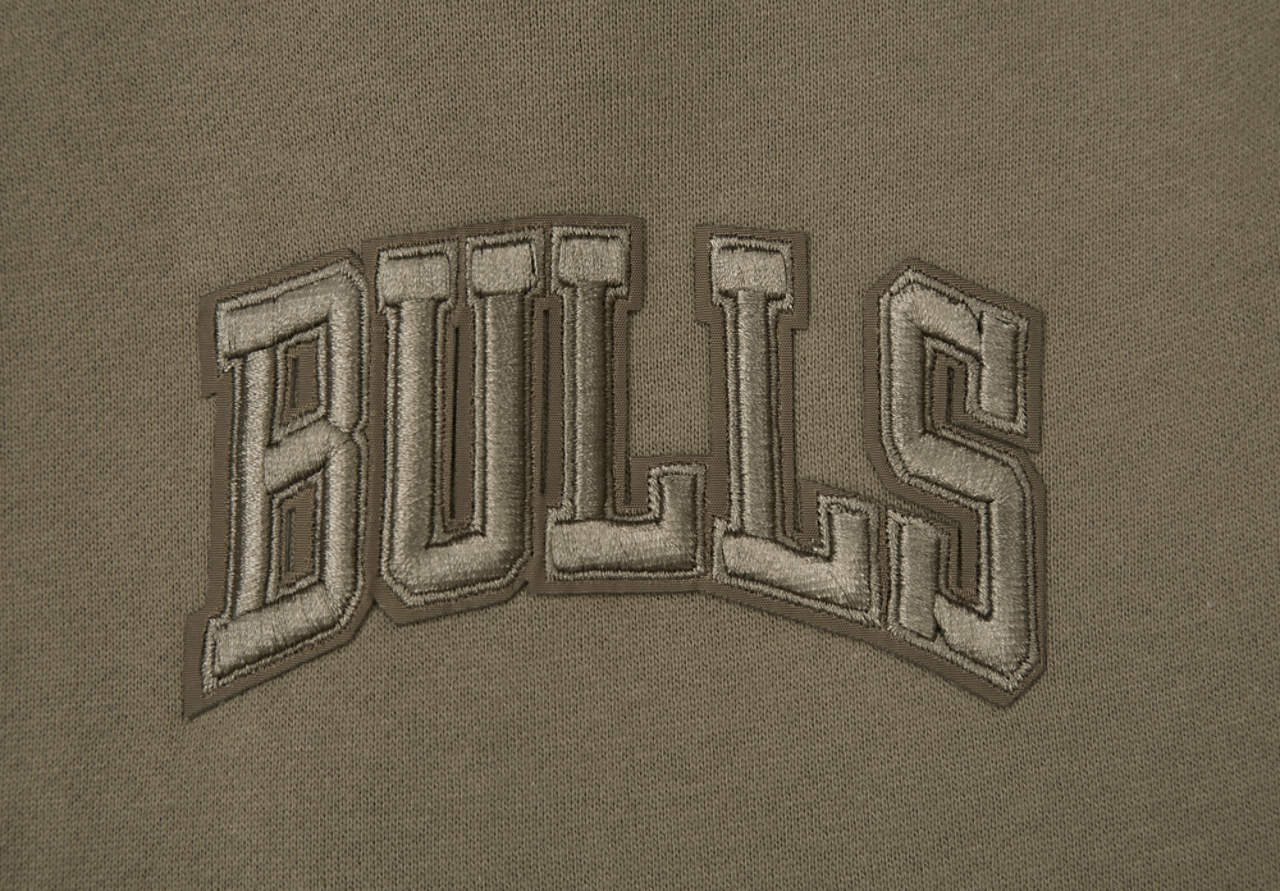 Pro Standard Bulls Logo Hoodie Image 13 of 14. Tap to open photo gallery.
