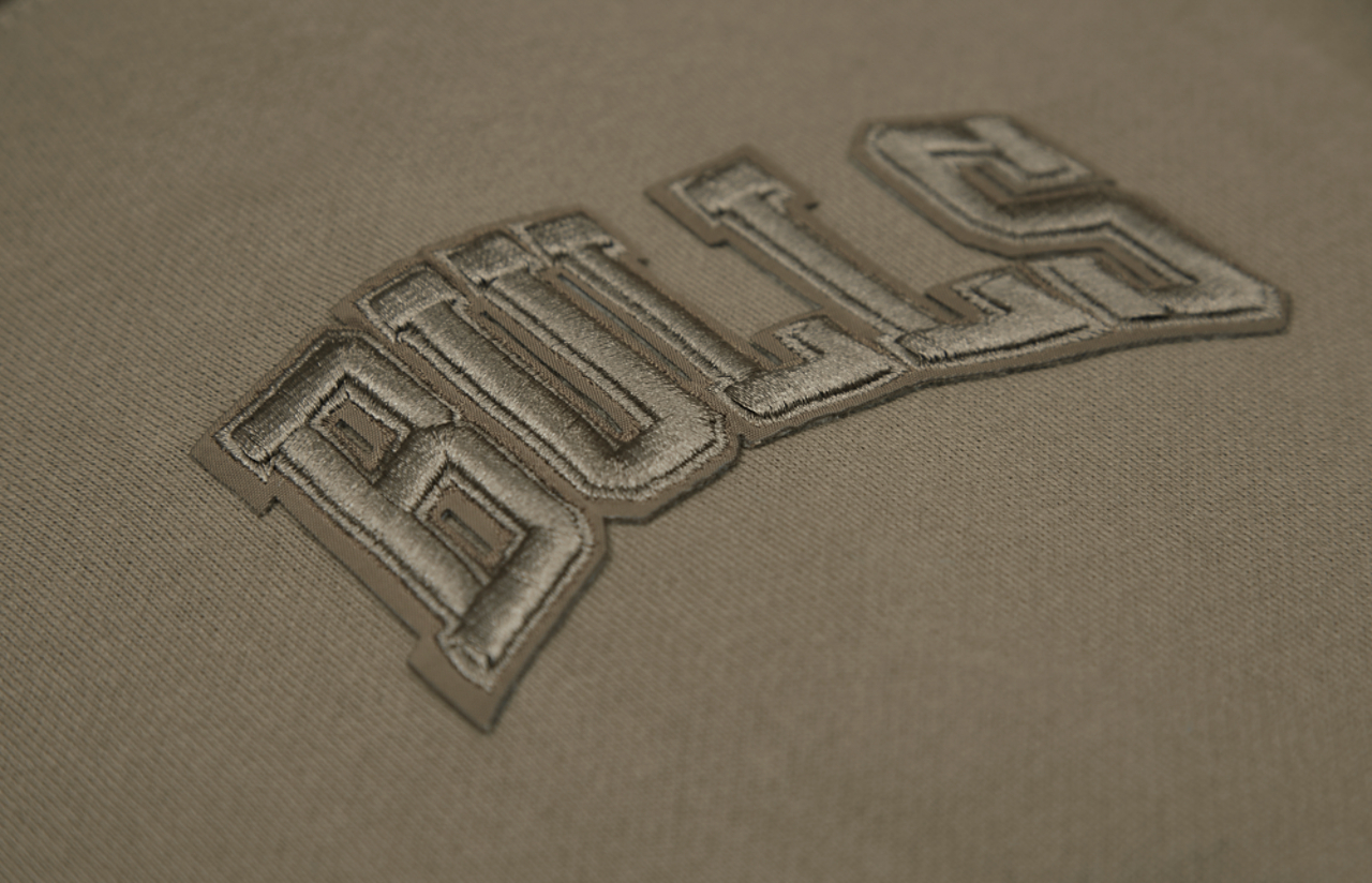 Pro Standard Bulls Logo Hoodie Image 14 of 14. Tap to open photo gallery.