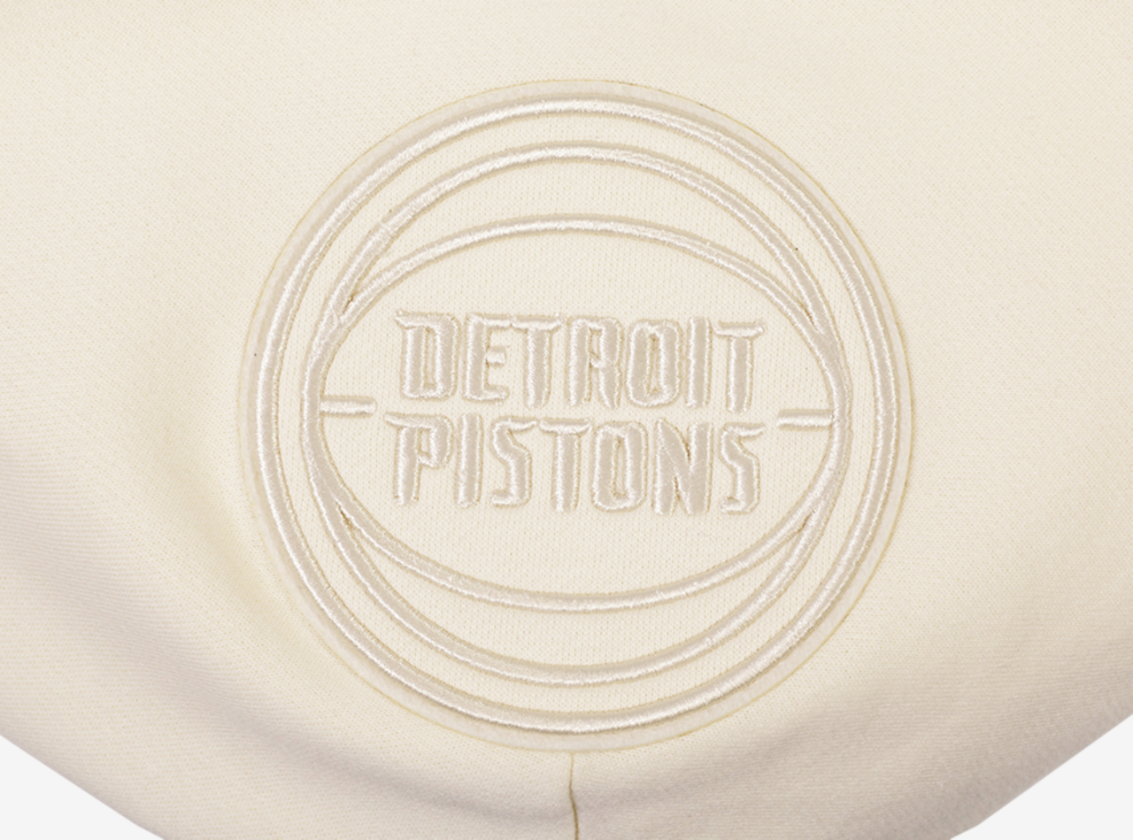 Pro Standard Pistons Pullover Hoodie Image 6 of 8. Tap to open photo gallery.