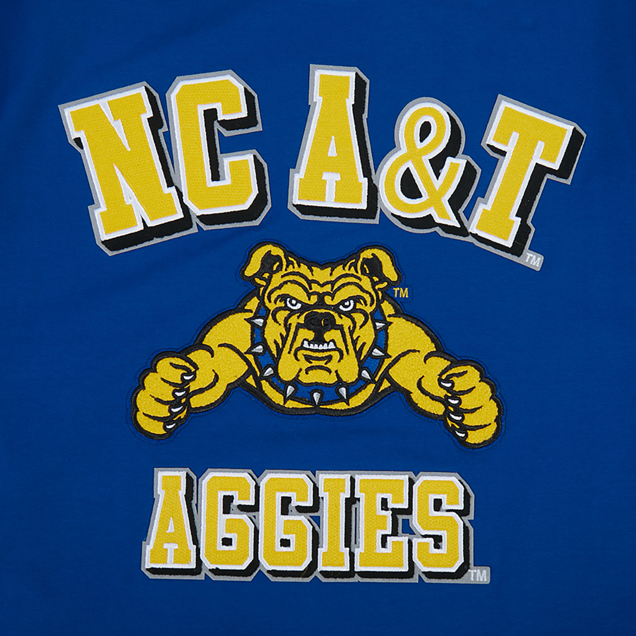 Pro Standard College HBCU 2026 T-Shirt Image 5 of 7. Tap to open photo gallery.