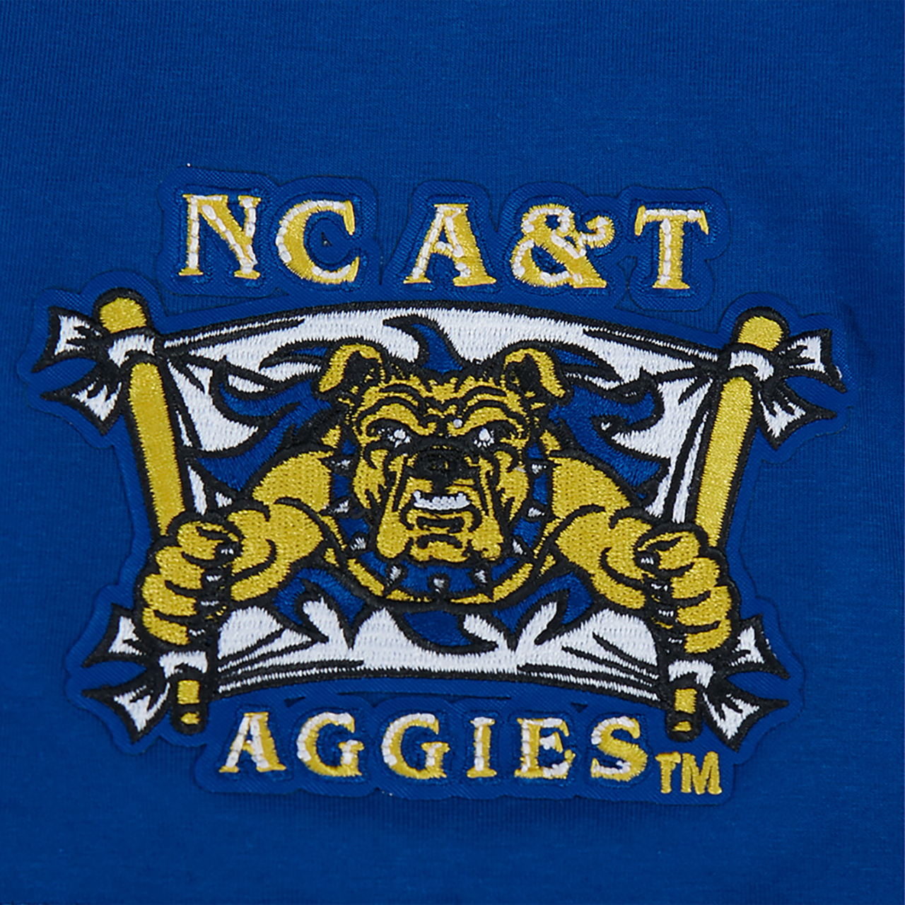 Pro Standard College HBCU 2026 T-Shirt Image 6 of 7. Tap to open photo gallery.