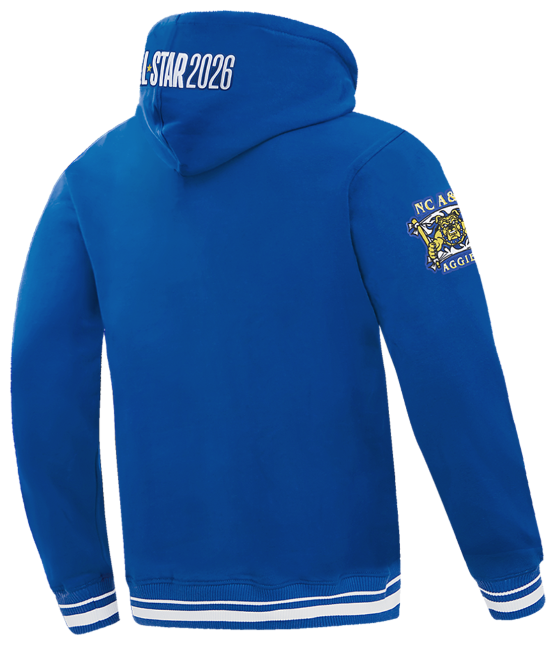 Pro Standard College HBCU Rib Fleece Pullover Hoodie Image 2 of 7. Tap to open photo gallery.