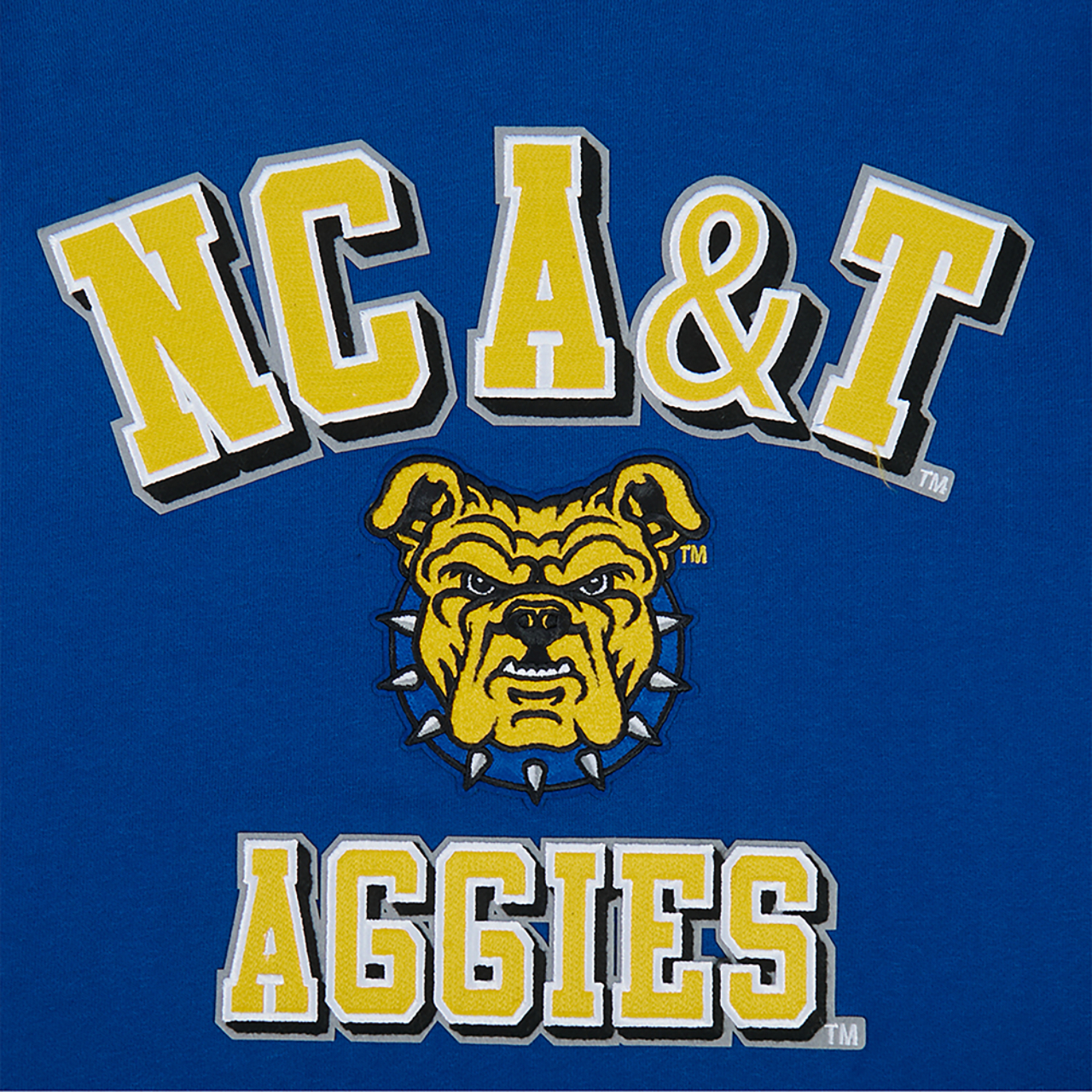Pro Standard College HBCU Rib Fleece Pullover Hoodie Image 4 of 7. Tap to open photo gallery.