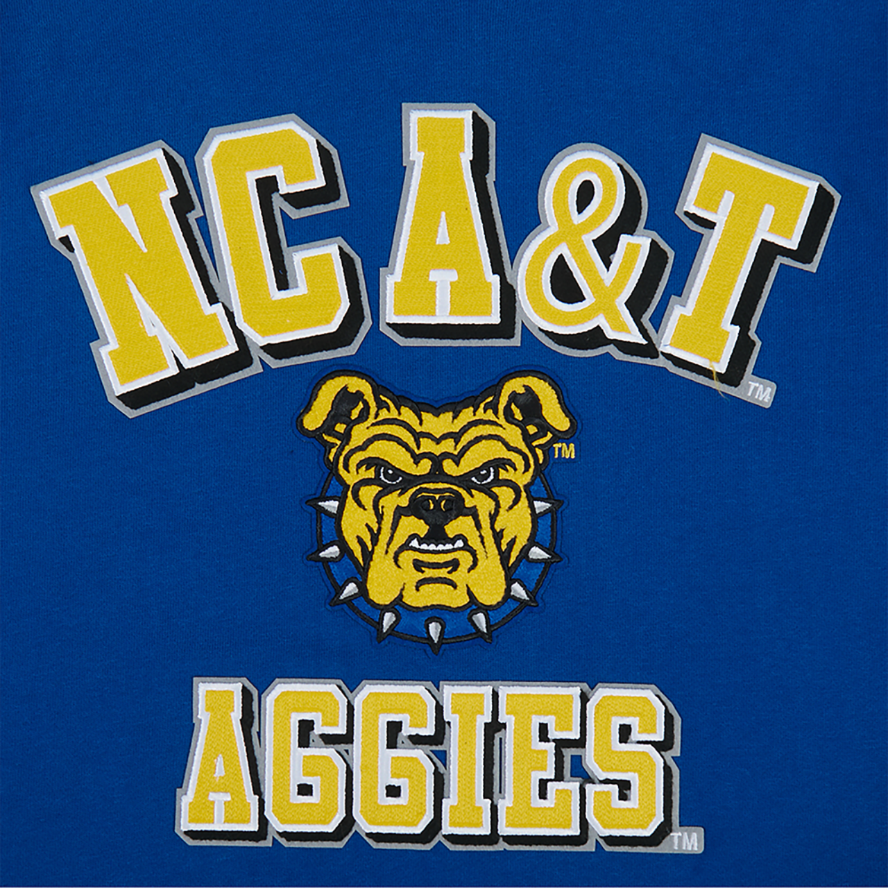 Pro Standard College HBCU Rib Fleece Pullover Hoodie Image 4 of 7. Tap to open photo gallery.