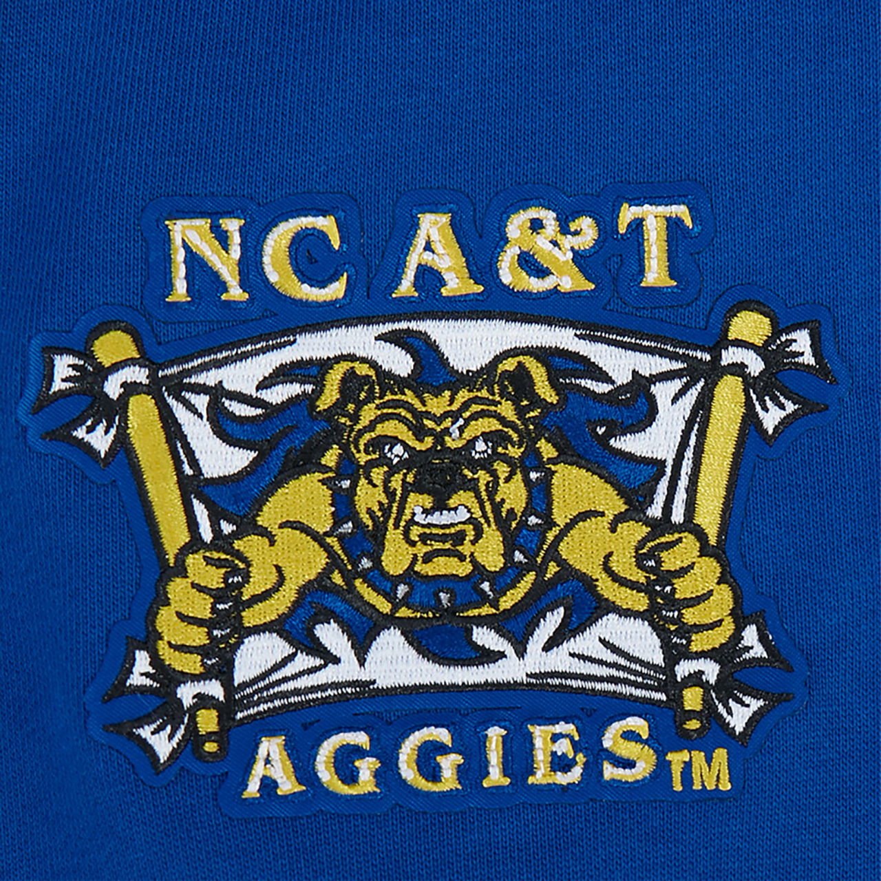 Pro Standard College HBCU Rib Fleece Pullover Hoodie Image 5 of 7. Tap to open photo gallery.