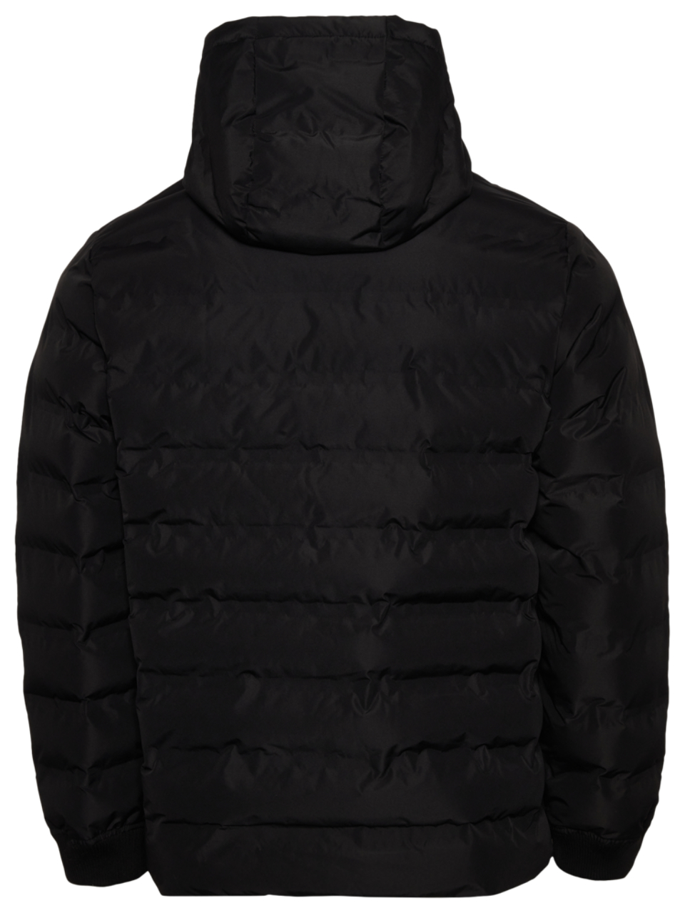 LCKR Puffer Jacket  Image 2 of 3. Tap to open photo gallery.