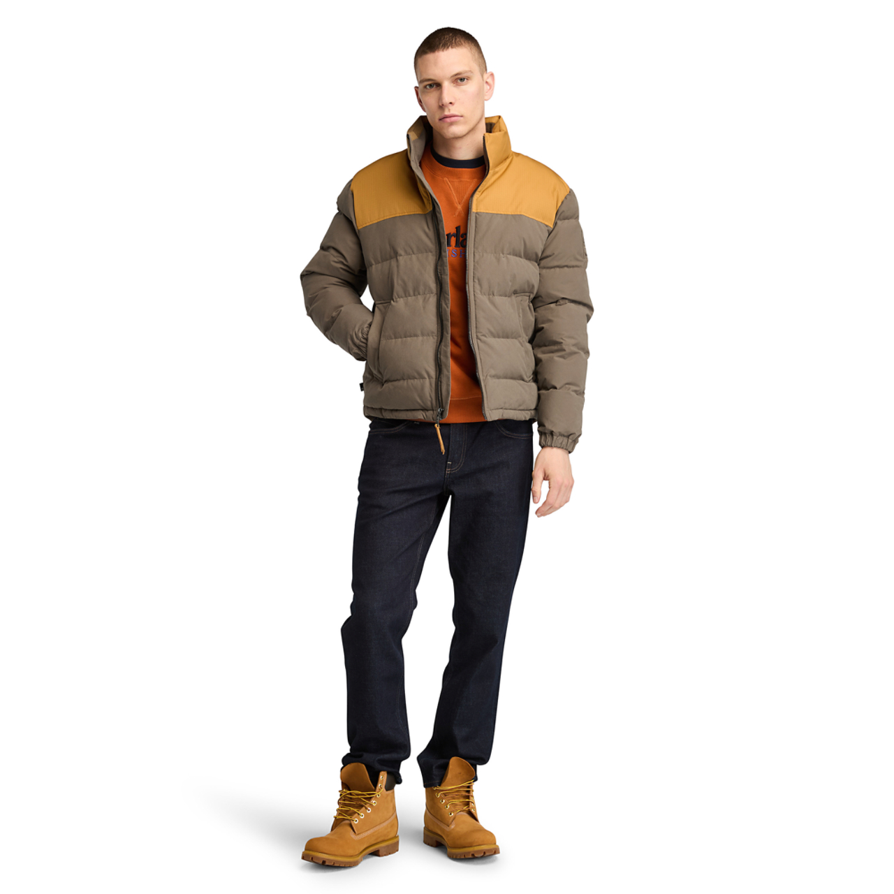 Timberland Welch Puffer Jacket  Image 3 of 5. Tap to open photo gallery.