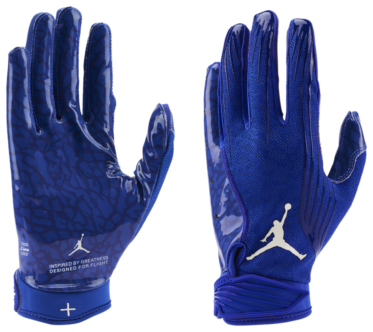 Jordan Fly Lock Football Glove | Champs Sports