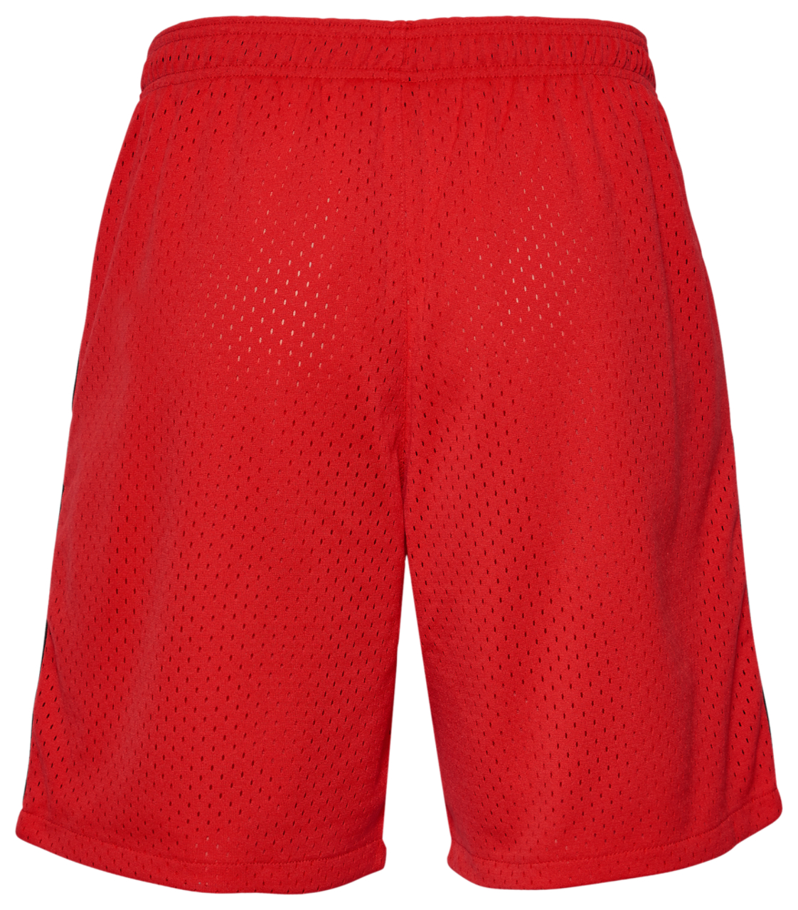 Champion 9" Rec Mesh Shorts Image 4 of 4. Tap to open photo gallery.