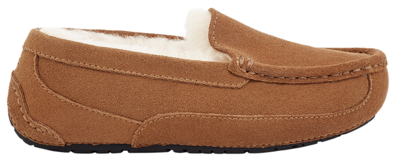 UGG Ascot Image 1 of 5. Tap to open photo gallery.