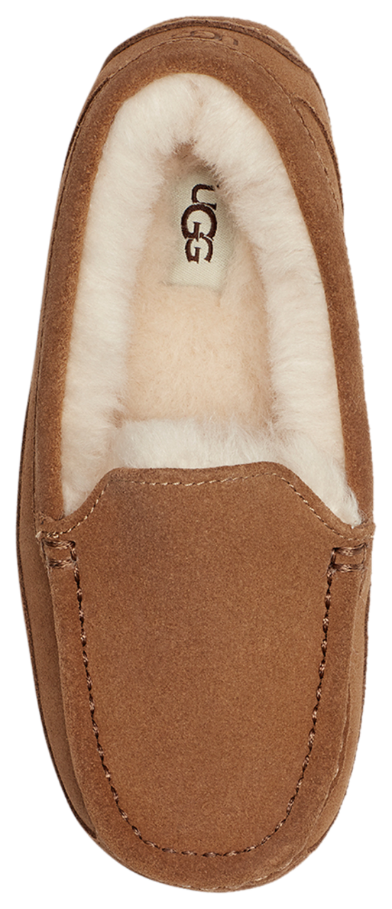 UGG Ascot Image 4 of 5. Tap to open photo gallery.