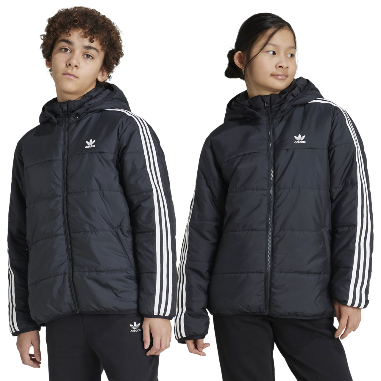 adidas Originals Padded Jacket  Image 1 of 6. Tap to open photo gallery.