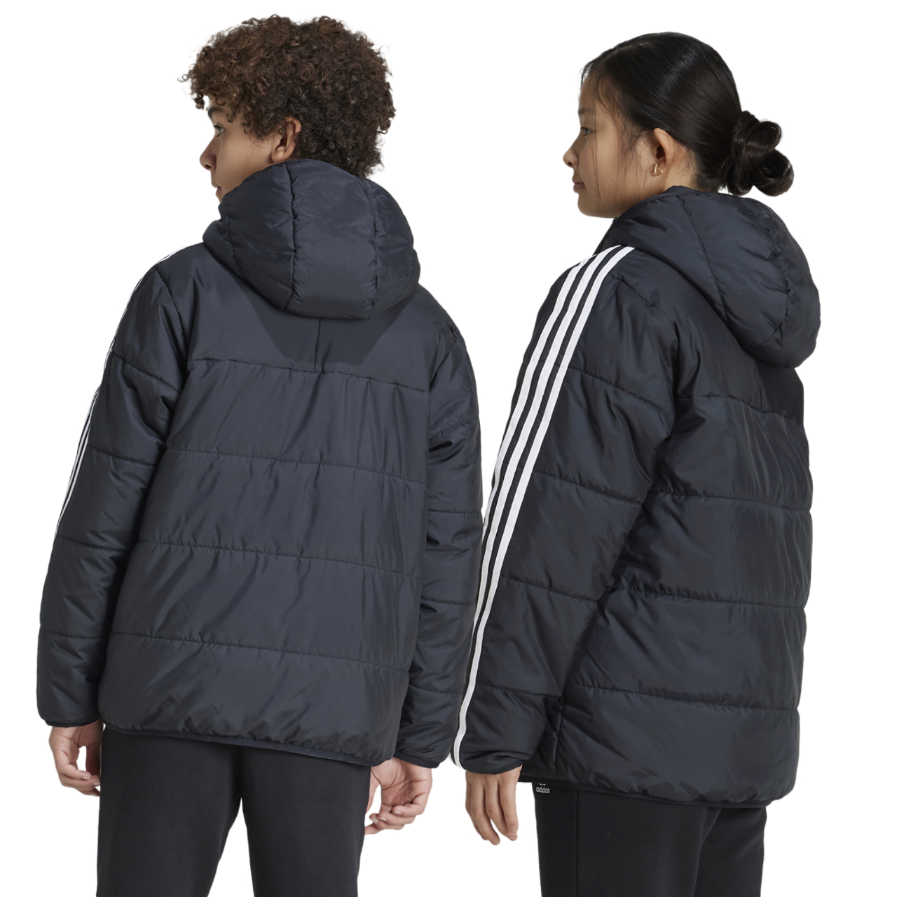 adidas Originals Padded Jacket  Image 2 of 6. Tap to open photo gallery.