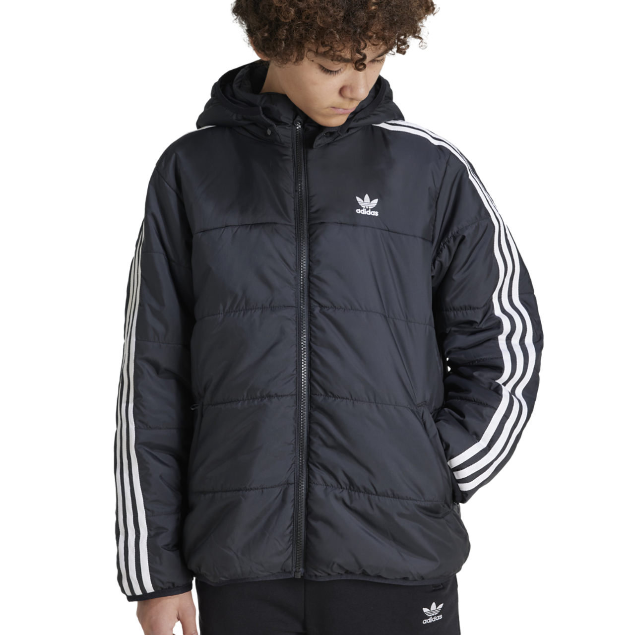 adidas Originals Padded Jacket  Image 3 of 6. Tap to open photo gallery.