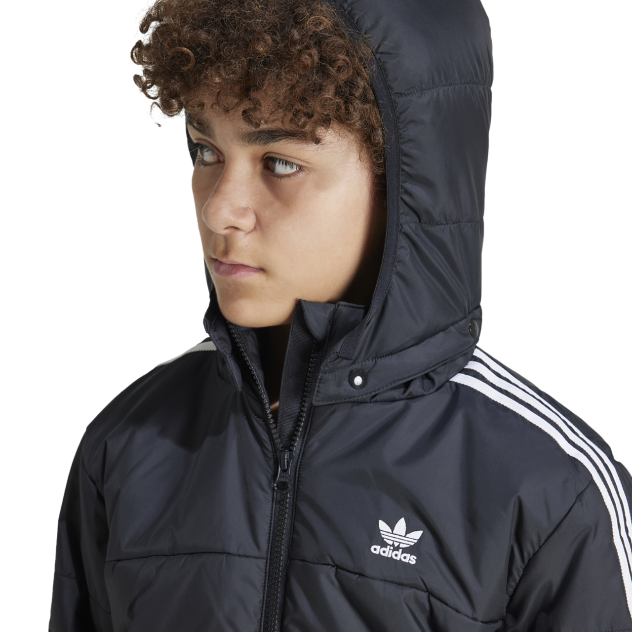 adidas Originals Padded Jacket  Image 4 of 6. Tap to open photo gallery.