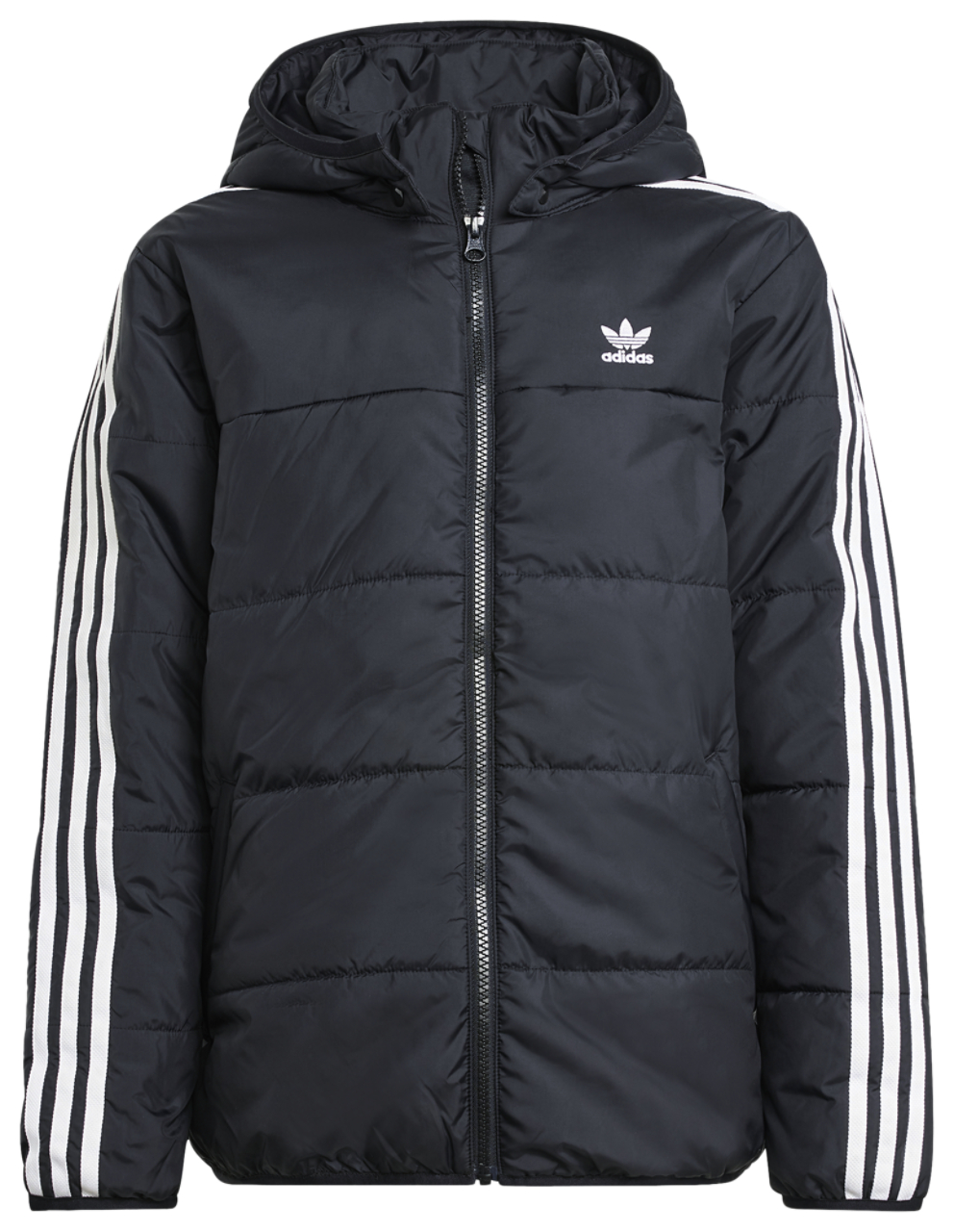 adidas Originals Padded Jacket  Image 6 of 6. Tap to open photo gallery.