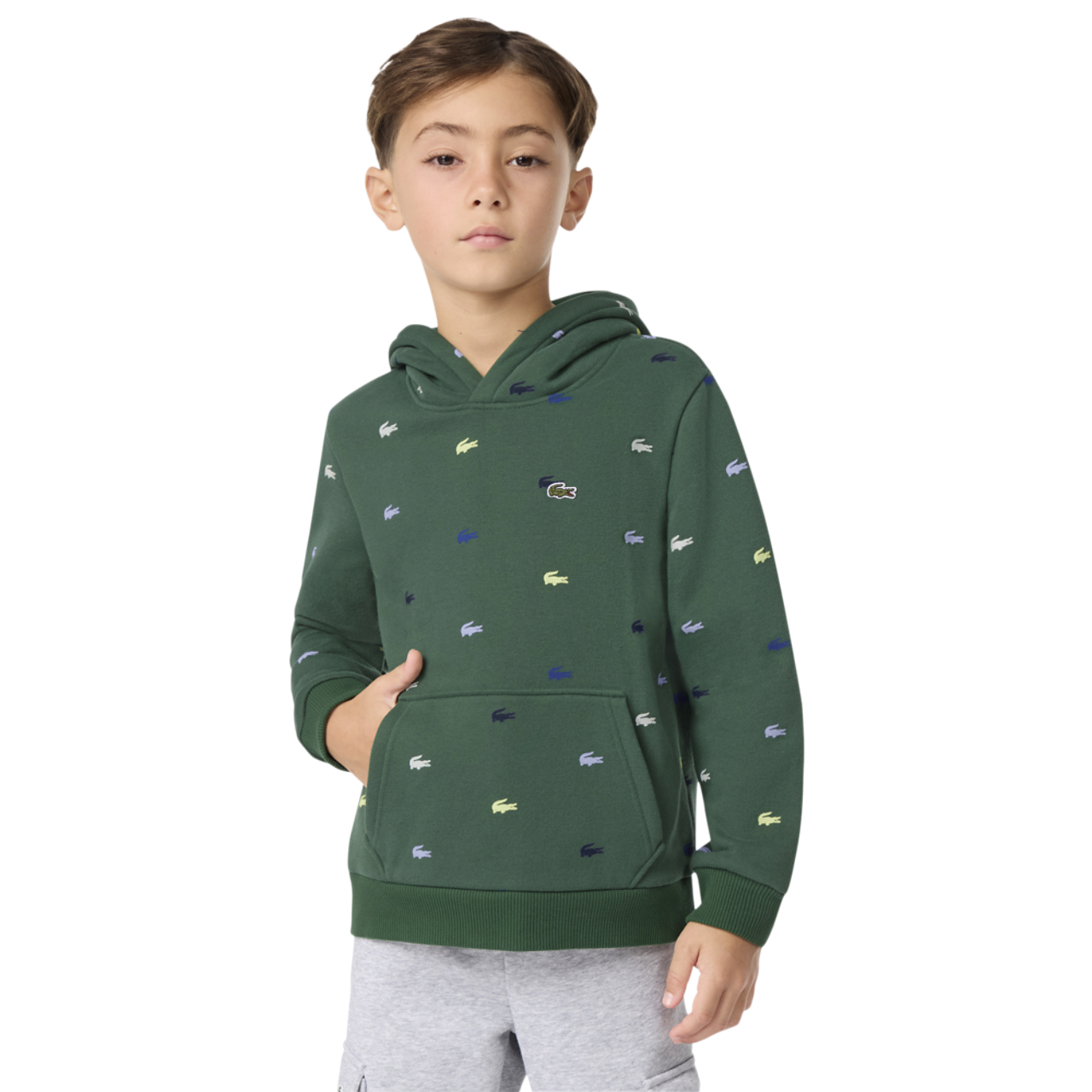 Lacoste Chandail à capuchon molletonné avec imprimé Image 1 de 6. Appuyez pour ouvrir la galerie de photos.