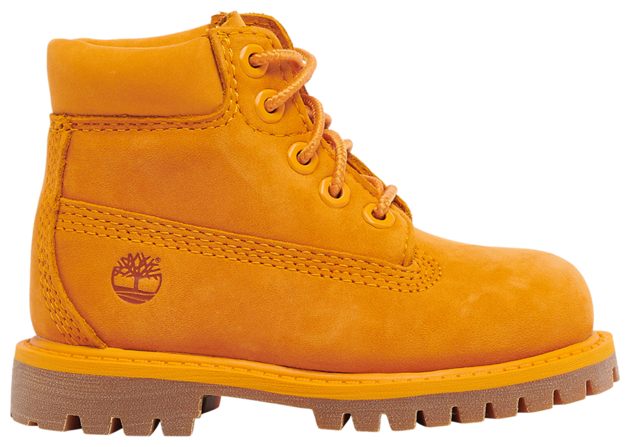Timberland 6" Premium Waterproof Boots Image 1 of 5. Tap to open photo gallery.